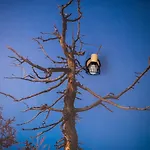 Lägenhet Alex Bumblebee