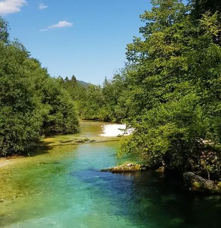 Lägenhet Alex Bumblebee