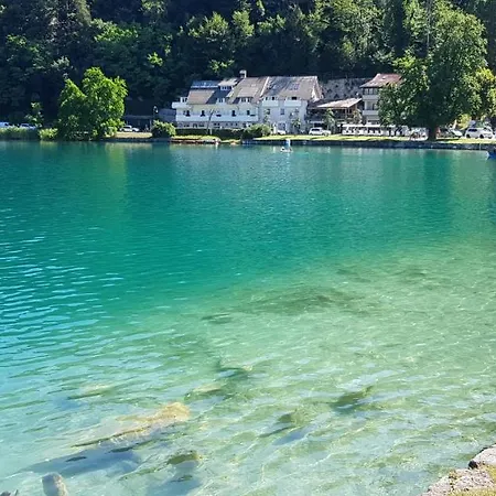 Alex Bumblebee Apartman *