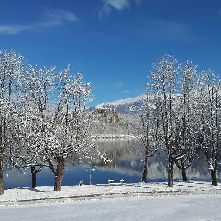 Alex Bumblebee * 布莱德