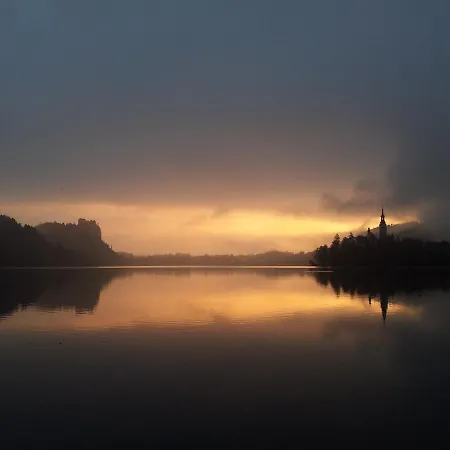 Alex Bumblebee 布莱德