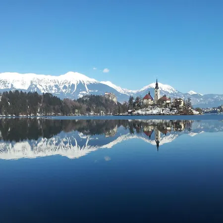 Alex Bumblebee 公寓