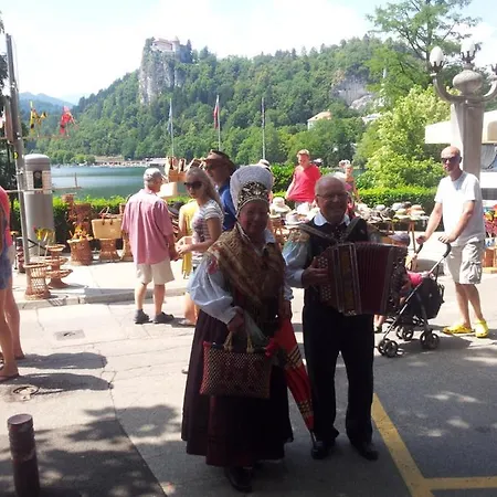 Alex Bumblebee * Bled