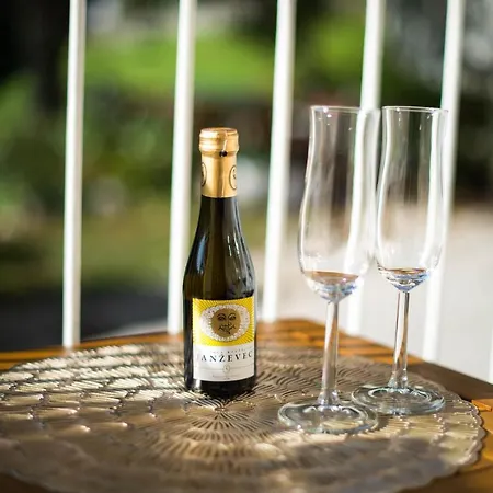 公寓 Alex Bumblebee