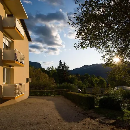 Alex Bumblebee * Bled