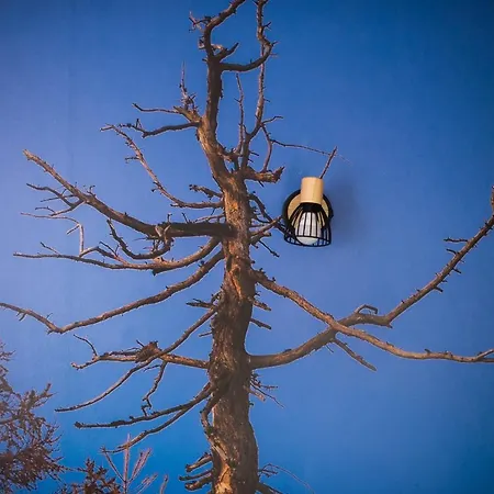 Lägenhet Alex Bumblebee