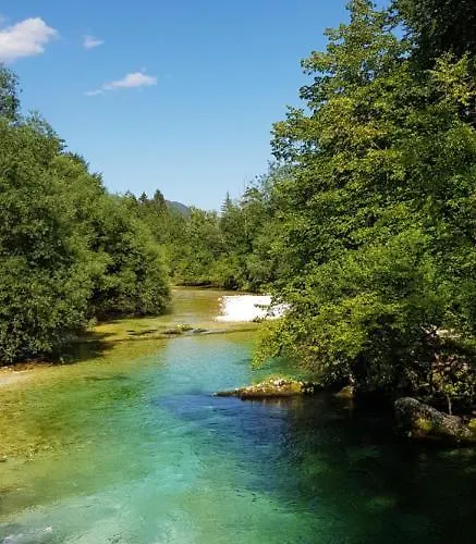 公寓 Alex Bumblebee