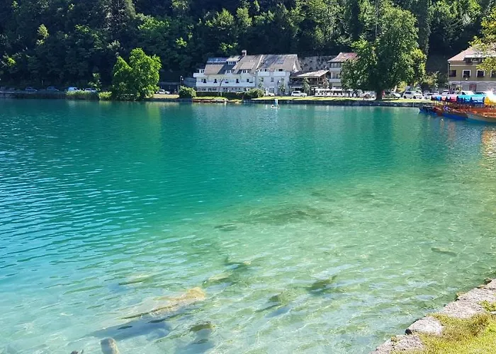 Alex Bumblebee 公寓 *