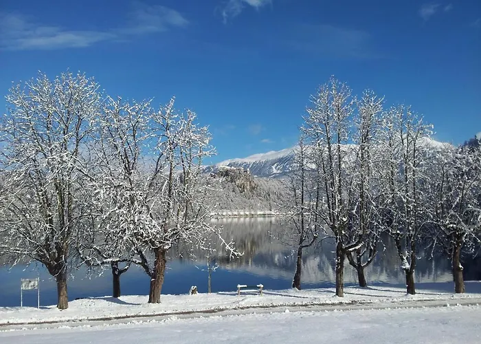 Alex Bumblebee * Bled