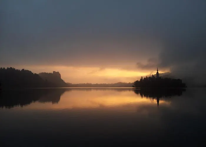 Alex Bumblebee 布莱德