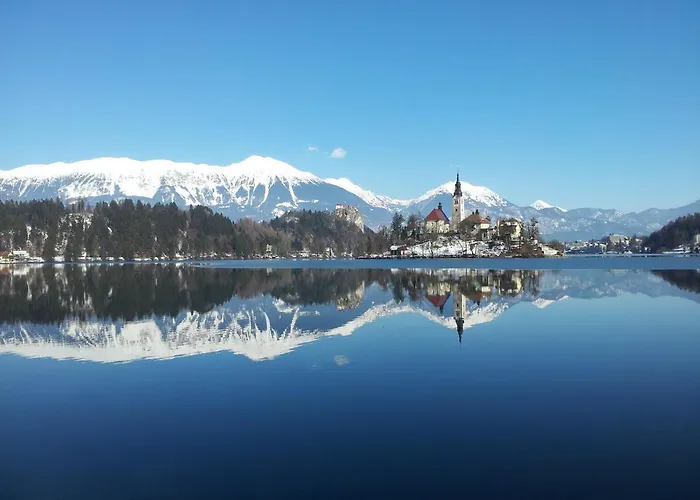 Alex Bumblebee 公寓