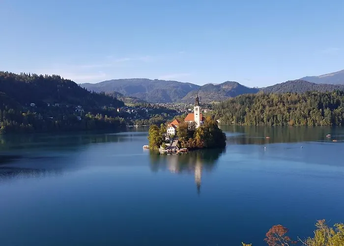 Alex Bumblebee 公寓 *