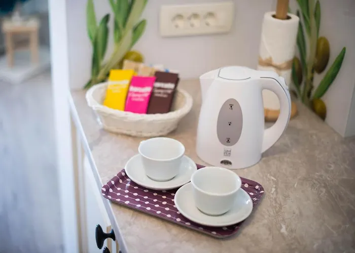 Alex Bumblebee 公寓 布莱德