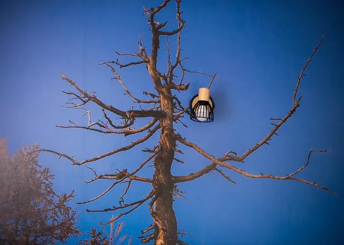 公寓 Alex Bumblebee